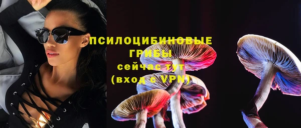 амф Абинск