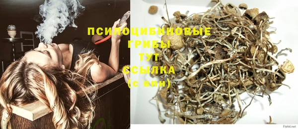 соль курить ск Алексин